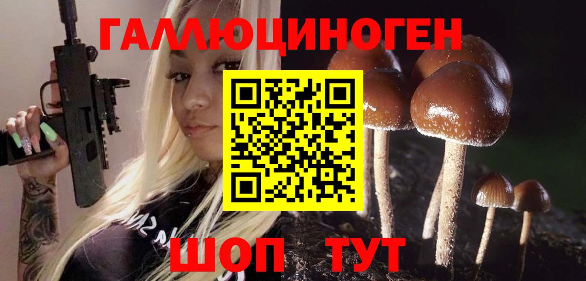 Галлюциногенные грибы мухоморы Заволжье